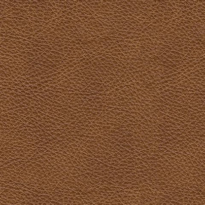 Carianna Caramel Leather Sofa